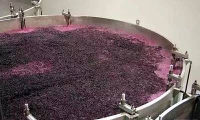 歷經(jīng)艱辛只為遇見(jiàn)你--一瓶葡萄酒的修煉