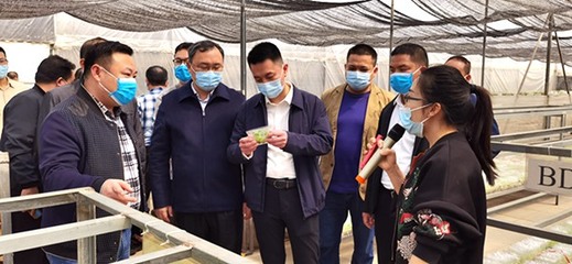 自治區(qū)發(fā)展改革委定點(diǎn)幫扶都安縣駐村工作隊(duì)赴南寧市、百色市開(kāi)展鄉(xiāng)村振興調(diào)研